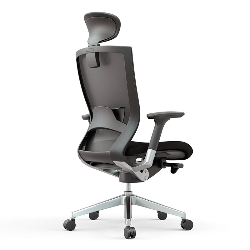 Silla T50