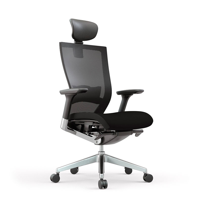 Silla T50