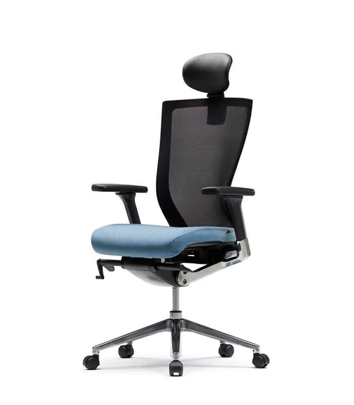 Silla T50